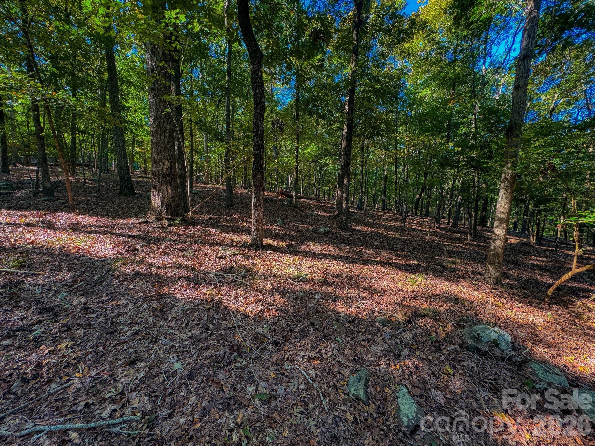 The Springs At High Rock - Land