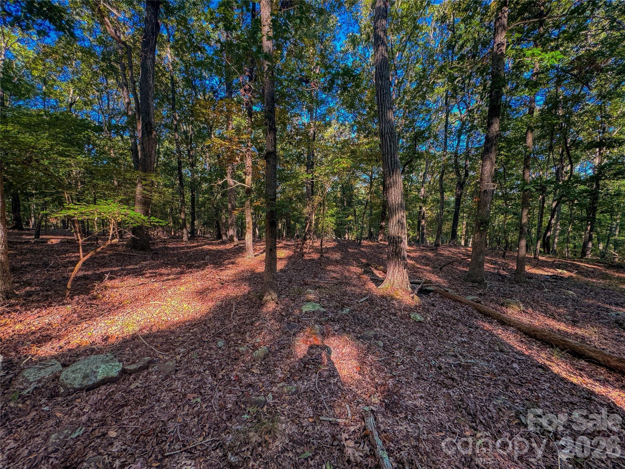 The Springs At High Rock - Land
