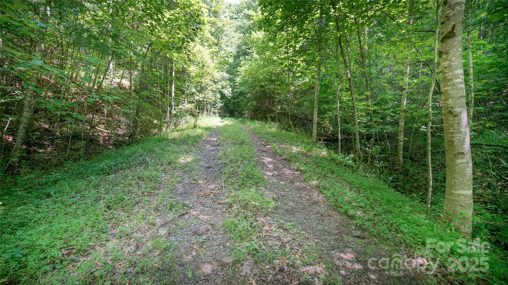 00 Dave Chester Road