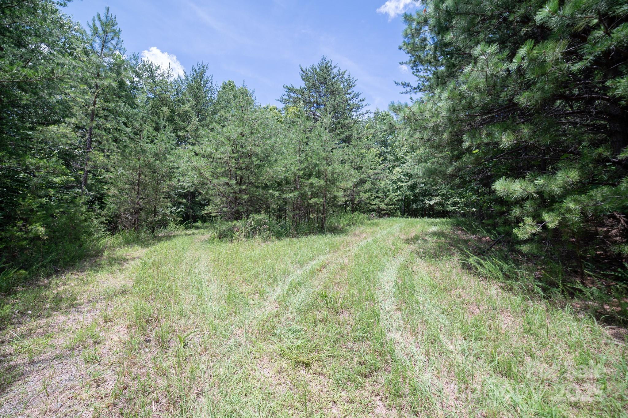 00 Dave Chester Road