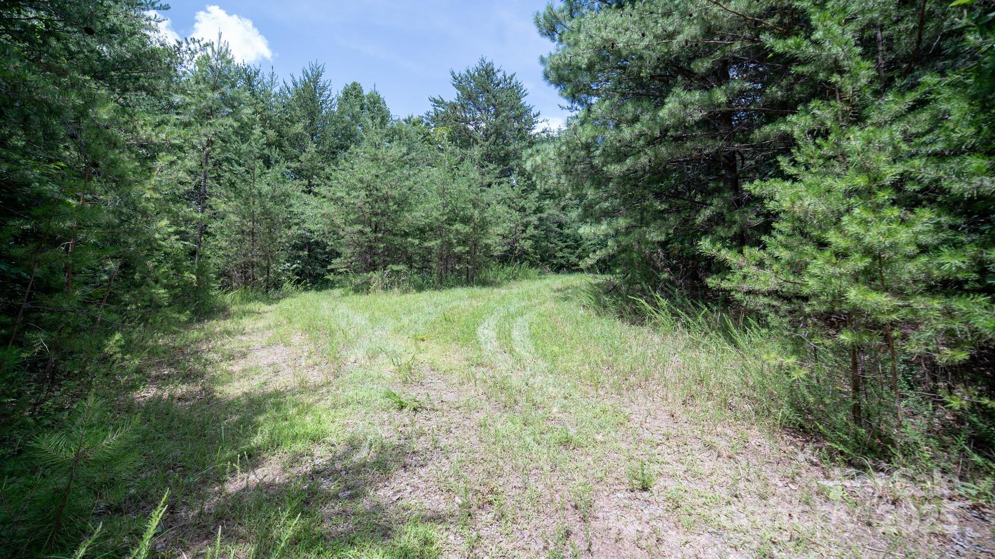 00 Dave Chester Road