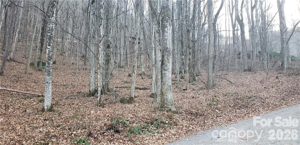 36 Miner Road, Waynesville, NC, 28785