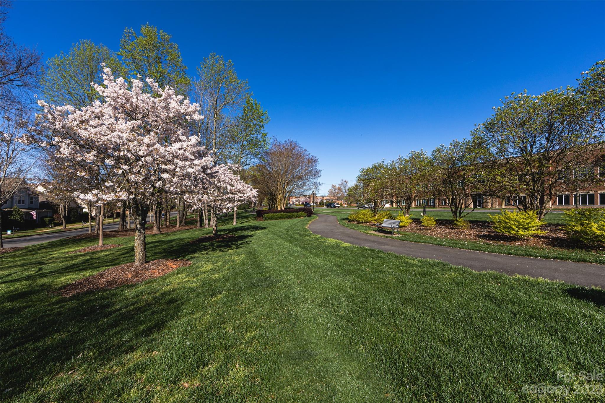 Brighton Park - Residential