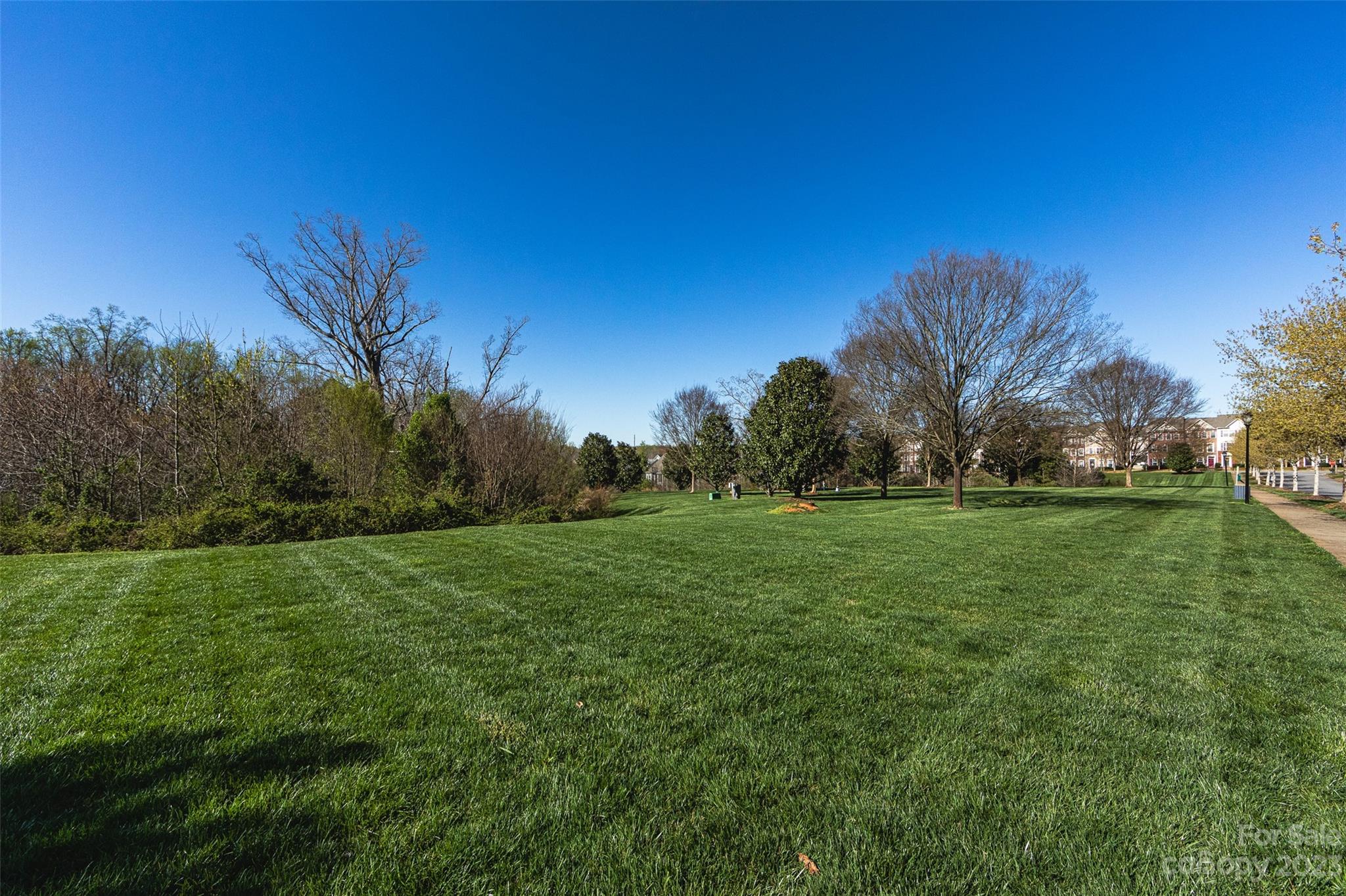 Brighton Park - Residential