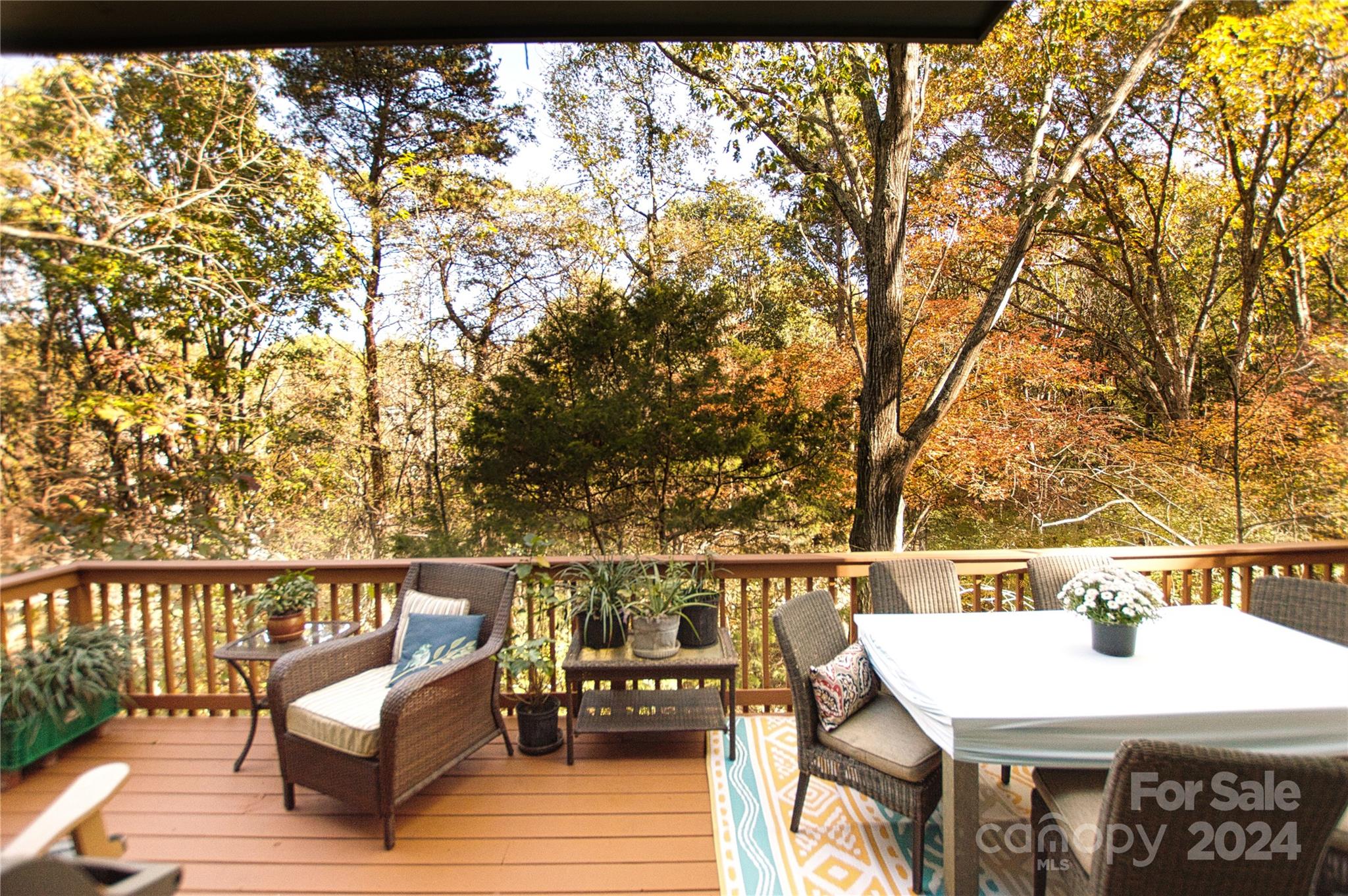 Tega Cay - Residential