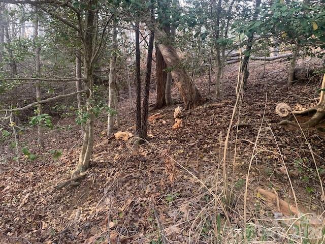 7.67 AC. HOLBERT COVE Road 7.67 AC.