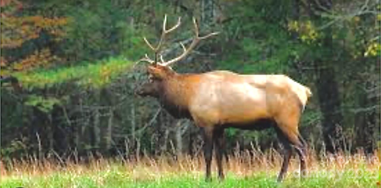 Twinbrook - Residential