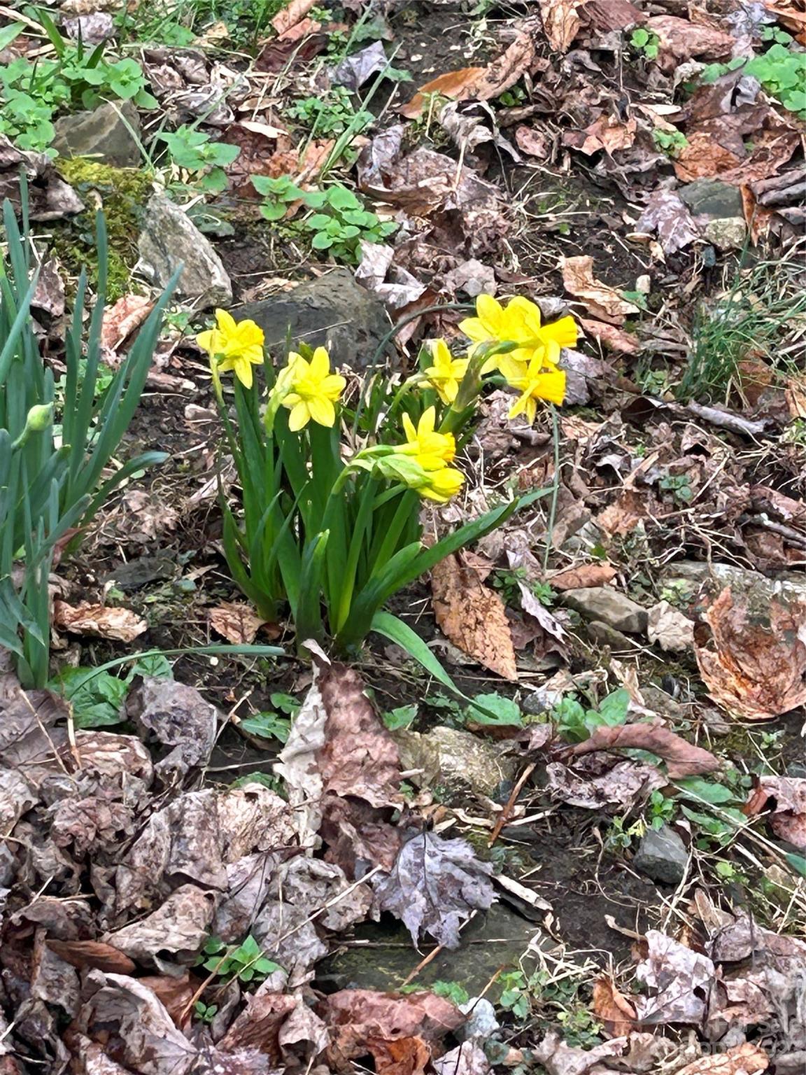 Twinbrook - Residential