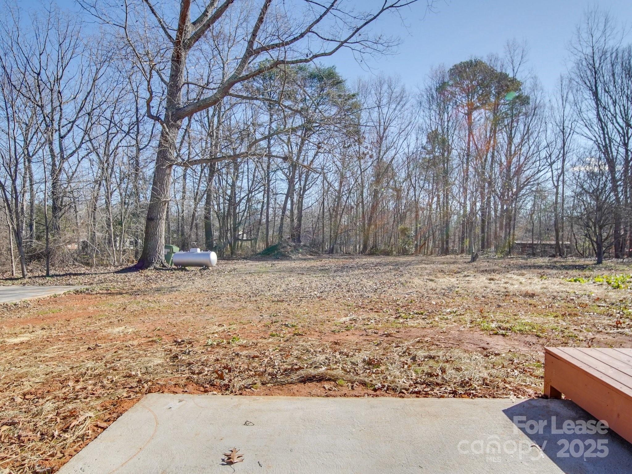 None - Residential Lease