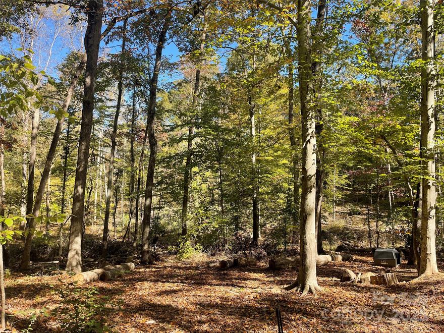 Investors, come and build your home on this lot. This lot is 2 parcels. Combined lot is 1.55 acres. Lot is suitable for crawlspace or basement. Lot is not suitable for conventional septic system has been tested by soil evaluations. No municipal water or sewer in the neighborhood. There are other parcels for sale right across this lot.