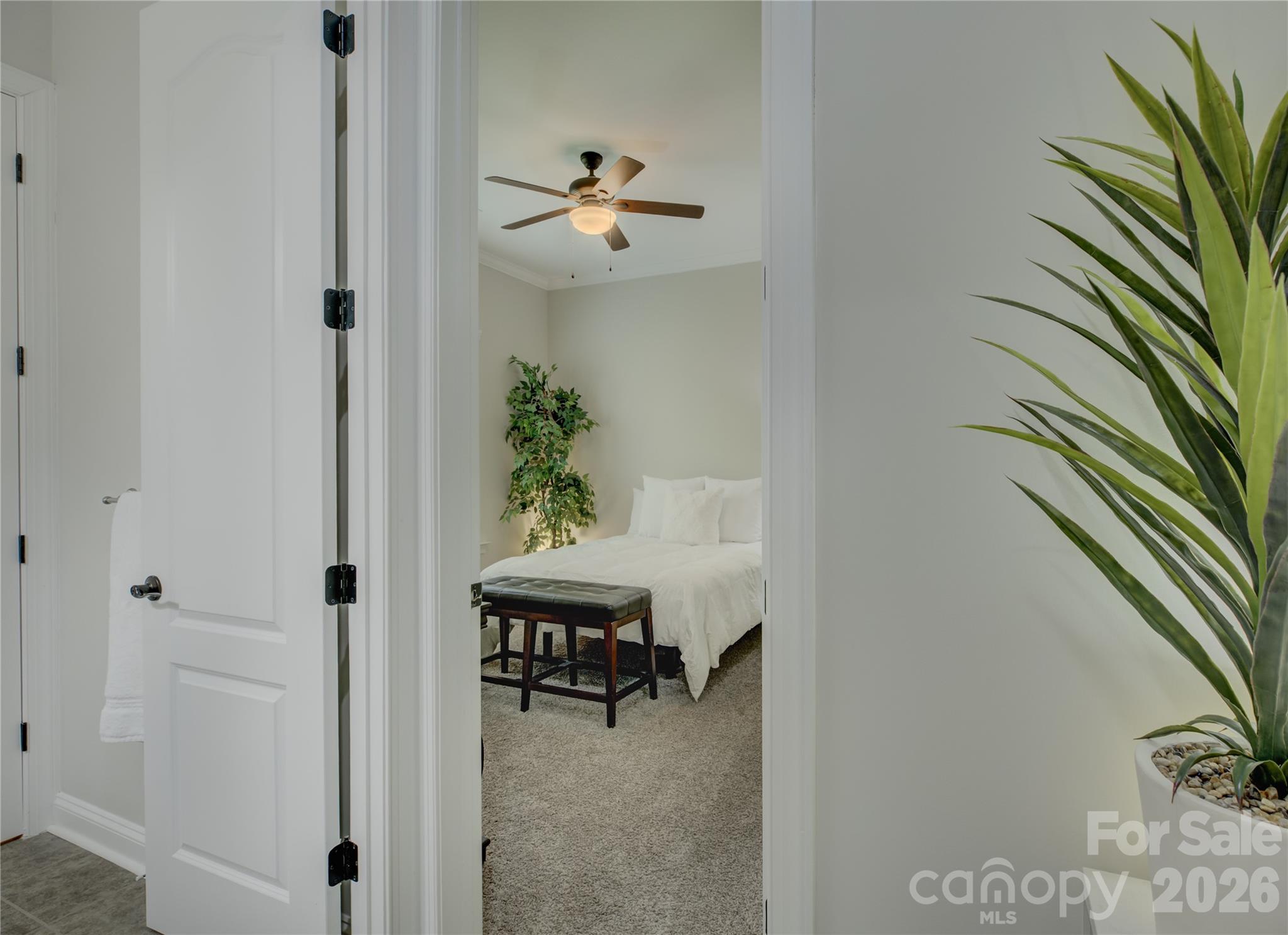 Chapel Cove - Residential