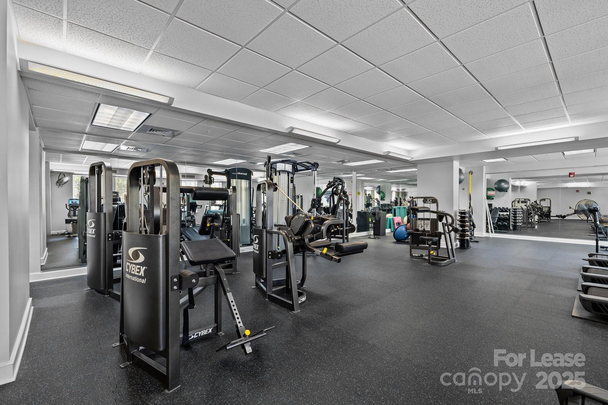 Fifth And Poplar - Residential Lease