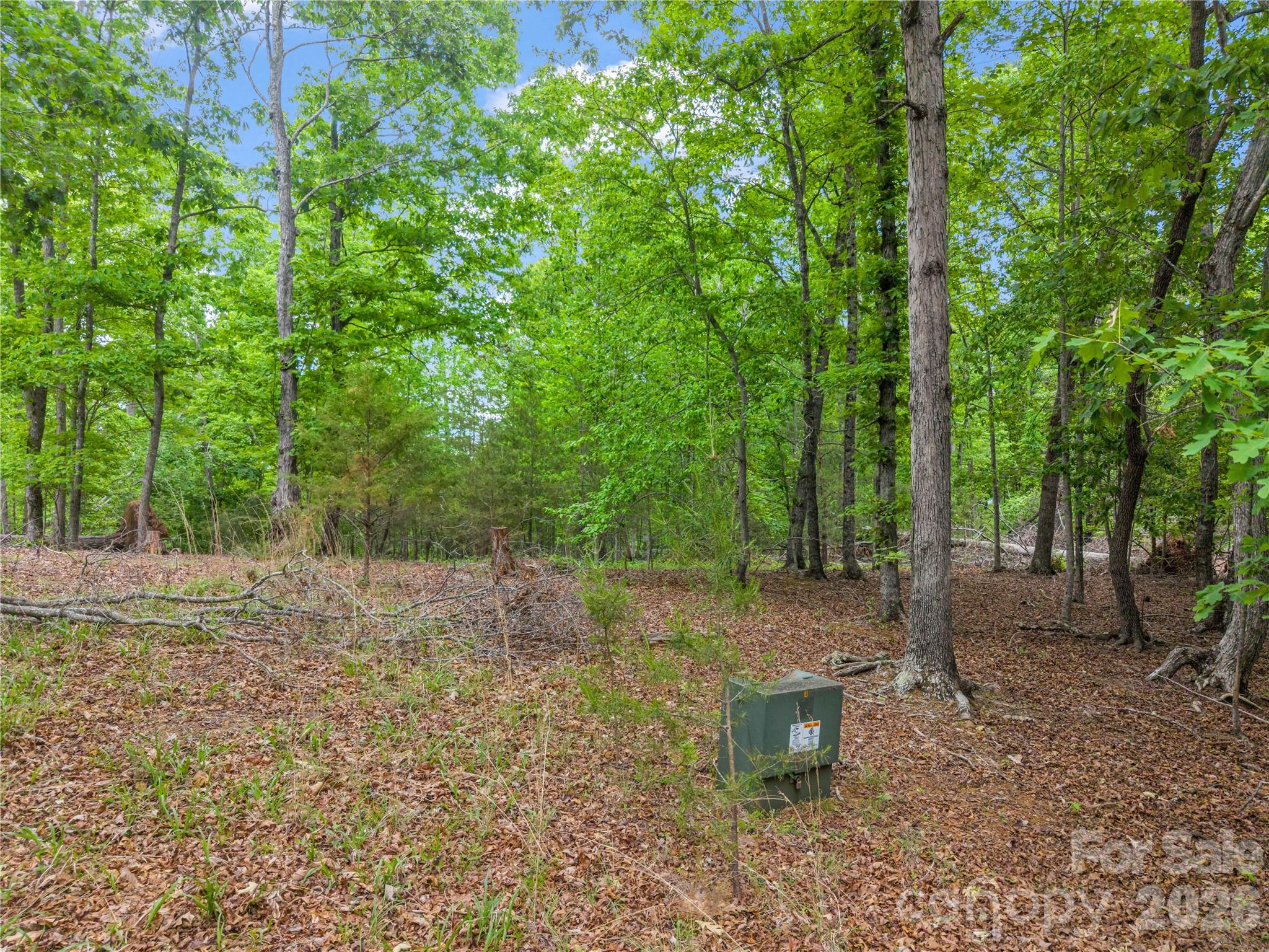 0 Wilderness Ridge