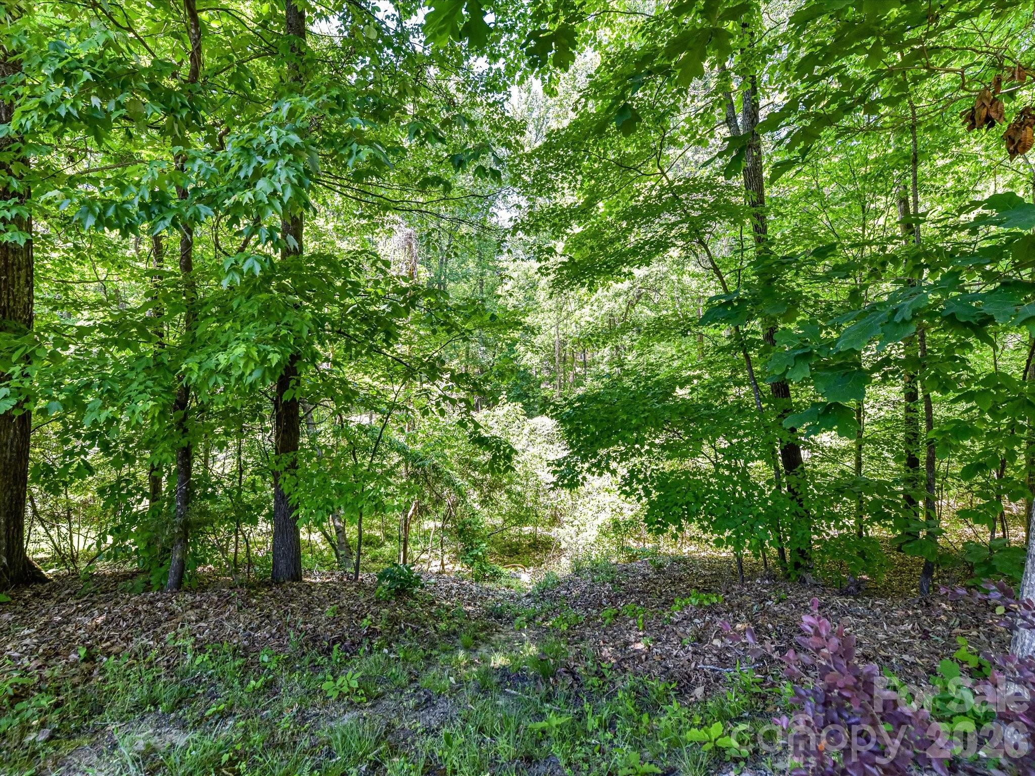 Brayden - Residential