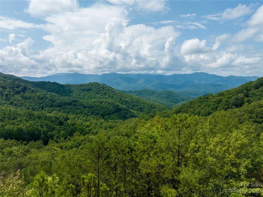 75.31+/- Acres of UNRESTREDED vacant mountain land in Whittier, not far from Sylva. Rolling to steep topography with the opportunity for a number of house sites or a private estate. Dirt road has been roughed in through the property. Less than 10 minutes to Harrah's casino; about 5 minutes to Sequoya National Golf Club; minutes to Smoky Mountain Country Club; minutes to multiple mountain bike trails, pickle ball, hiking on the AT, fishing, kayaking, and paddle boarding.