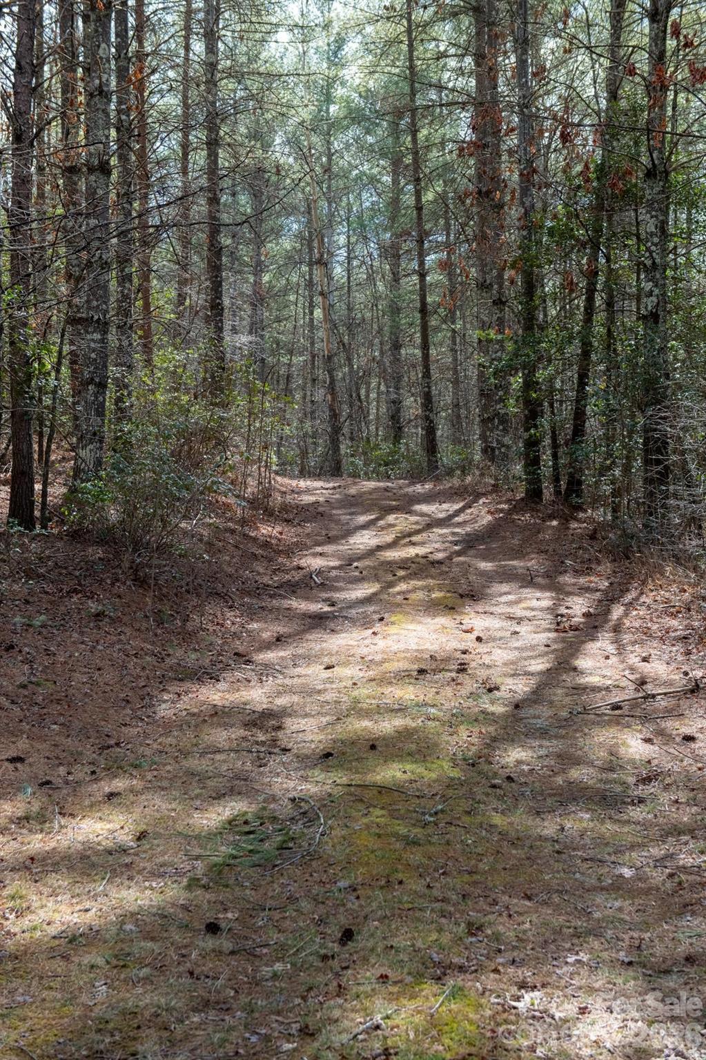 The Bluffs of Wilson Creek - Land