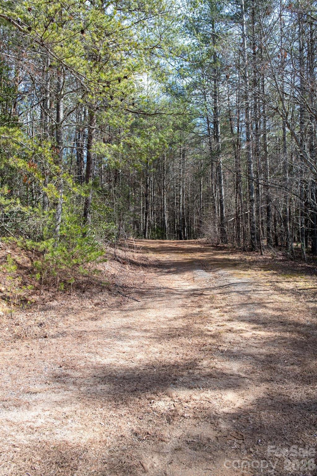 5515 Narrow Guage Drive 22