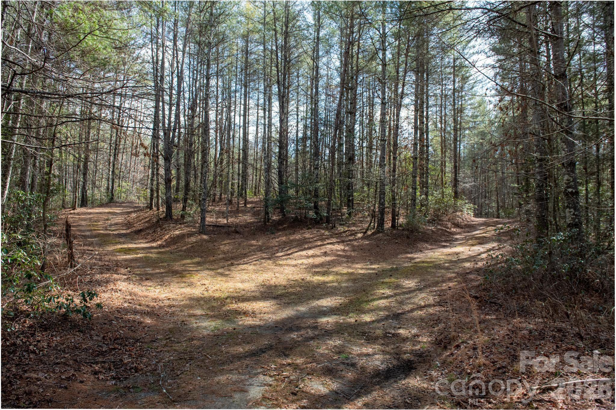 The Bluffs of Wilson Creek - Land