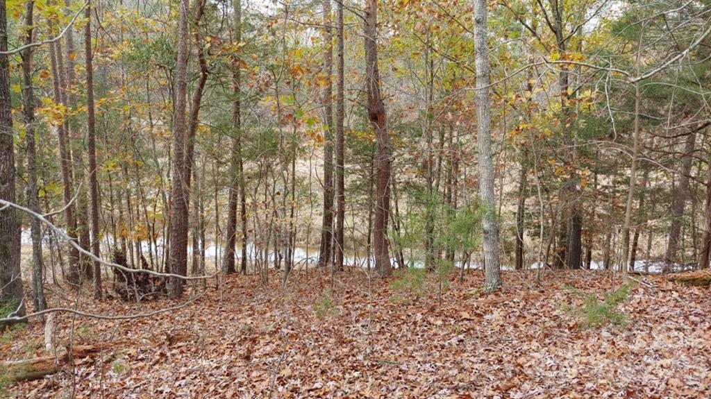 Serenity Point - Land