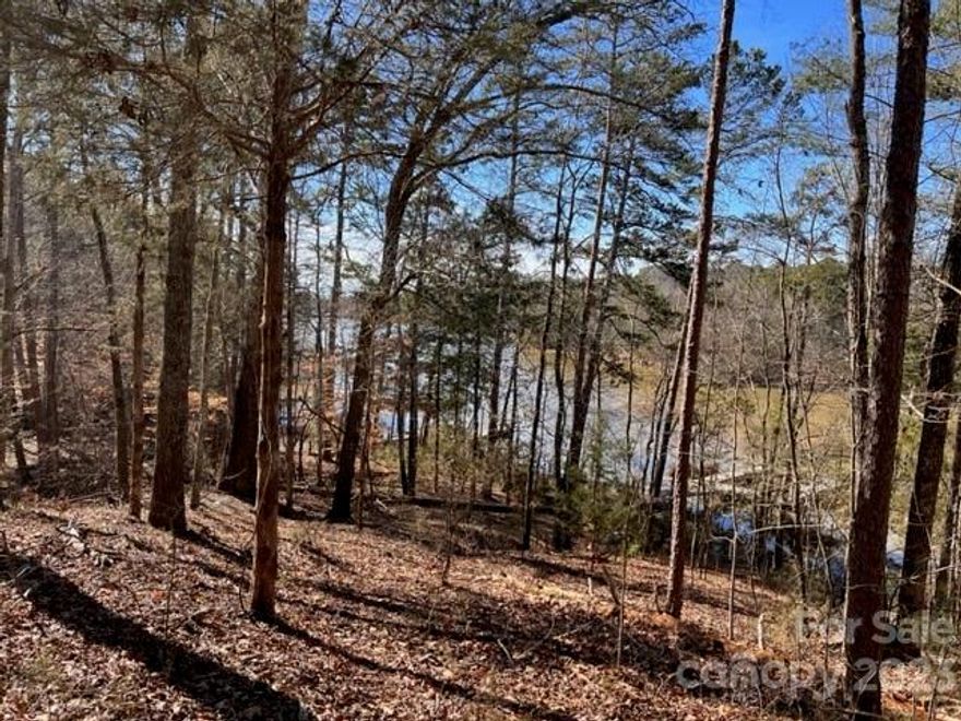 This LAKEFRONT lot in Serenity Point is one of the last opportunities to own property and build your dream home on Lake Wylie in Tega Cay, SC.  Build your custom home in a great community close to shopping and restaurants and less than 10 miles on I-77 to South Charlotte!  Tega Cay amenities include recreation fields, tennis, golf course, country club and more.  The Fort Mill schools score 9 out of 10 per Greatschools.org.  It's always a great day in Tega Cay!