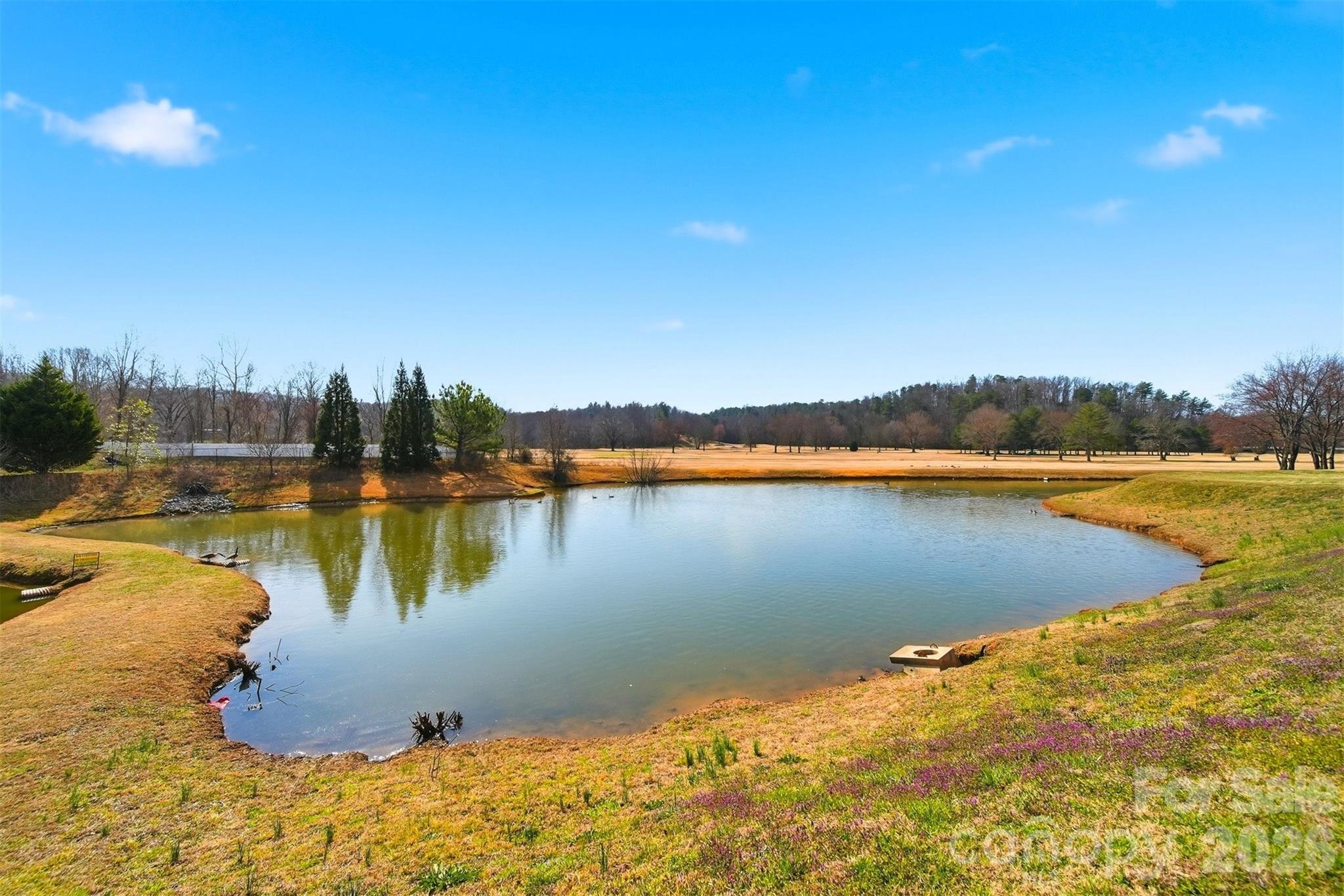 Cameron Village Townhouses - Residential