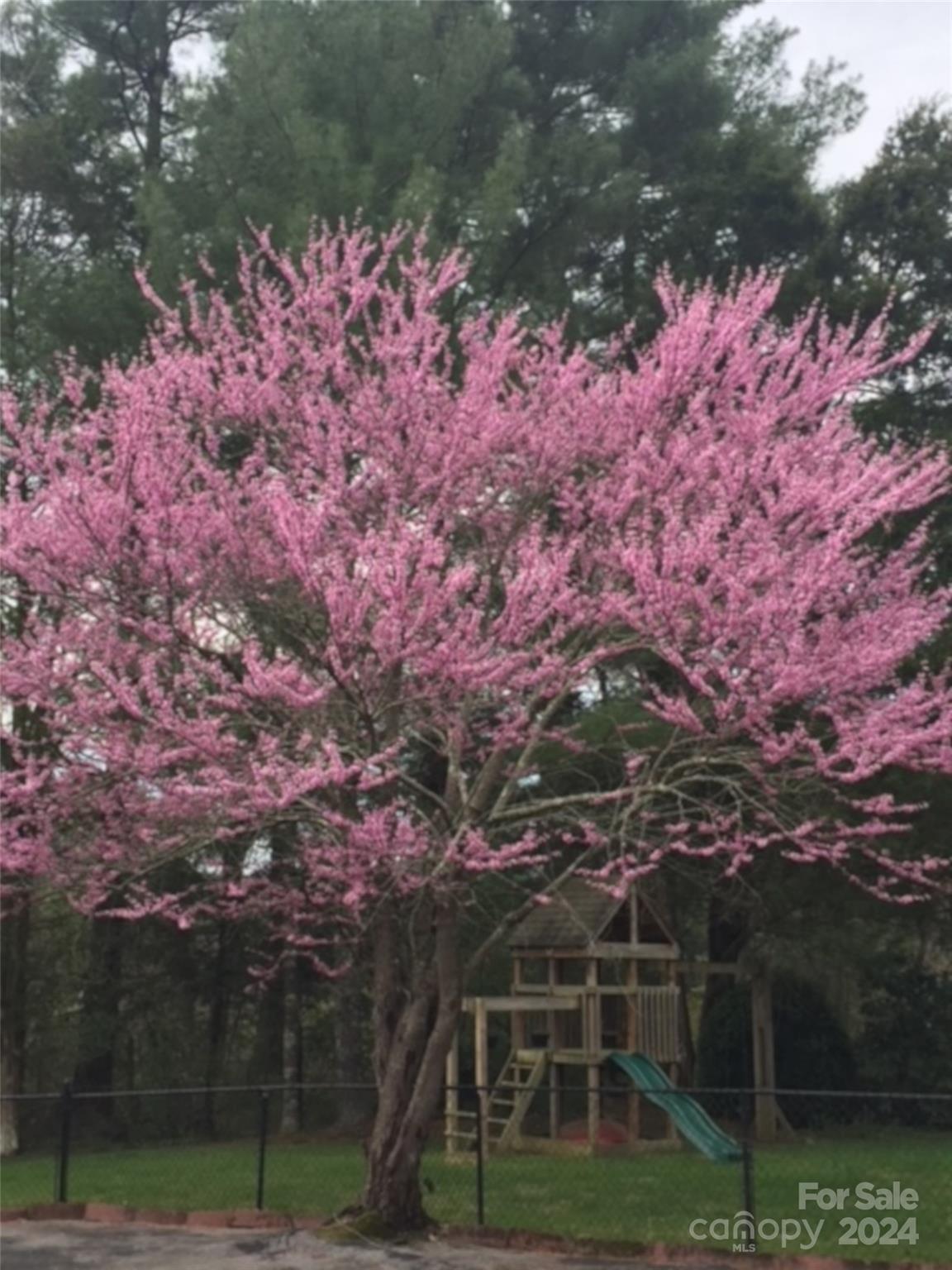 Oklawaha Garden - Residential