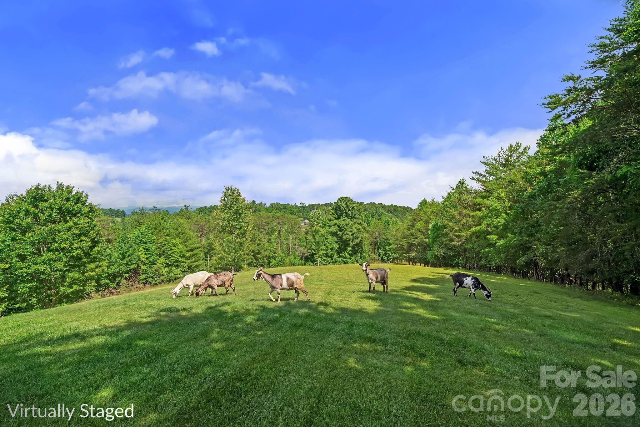 56 Gudger Road