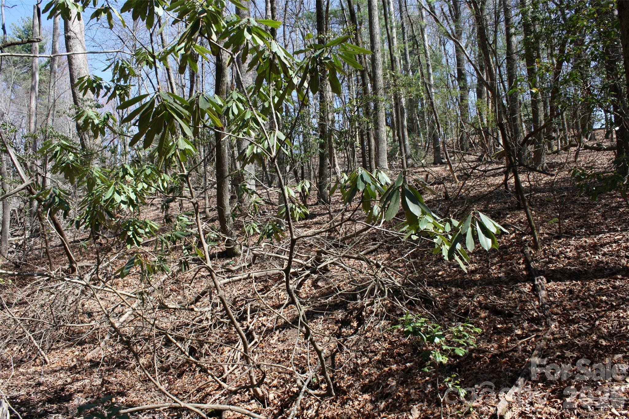 0000 Slick Rock Road