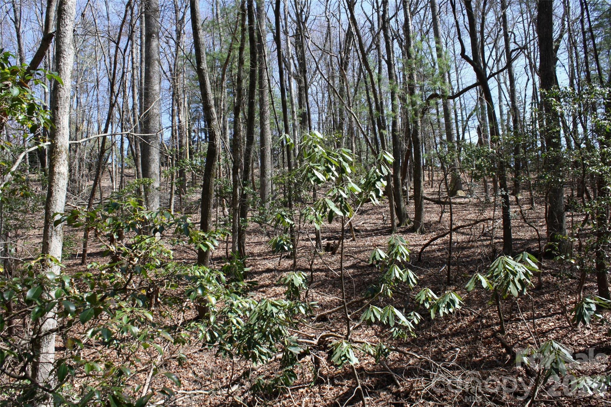 0000 Slick Rock Road