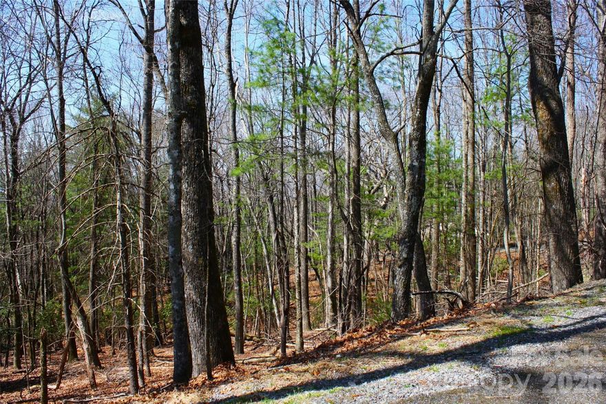 New to the market this beautiful, wooded lot is currently the only lot available in the very rarely offered and desirable Slick Rock Mountain community. With access from Slick Rock and West Roads, this lot offers multiple layout options for your very own mountain retreat in a quiet, established community. New owners enjoy access to the community lake and activities including swimming, fishing, boating, paddle sports, and a beach. Slick Rock Mountain is located near Dupont State Forest and all of the biking, hiking, and natural beauty it offers. Do you like golf? There are two public courses nearby - George Cobb designed Connestee Falls and the Par Three Sherwood Forest Golf Course. Also nearby are popular local sites such as Ceasar's Head State Park and Pretty Place as well as the Downtown Shops and Dining of Brevard. Come see it today!