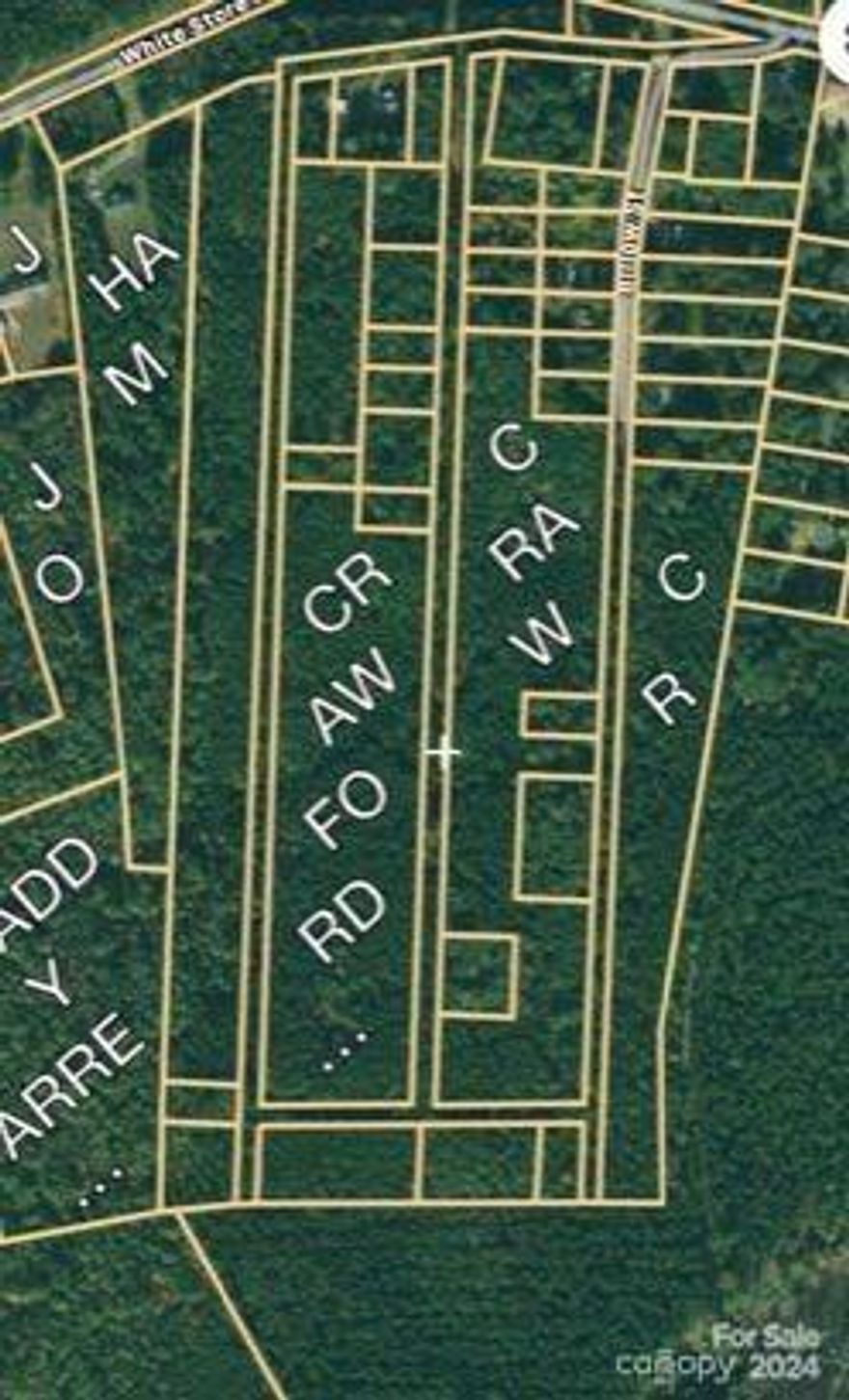 Great property for hunting or investment.  29.81 +/- acres with 20+ year old Pines, Loblolly pines are ready to be thinned for an immediate return on your investment.  This acreage also offers gated road, branch, and hardwood bottoms full of that wildlife for the avid hunter, current owner purchased for hunting and has been very happy with the abundance of wildlife. As you'll see on the maps, this area was originally intended for development,  soil did not pass perc test to make enough homesites to be feasible for his development plans of a subdivision.