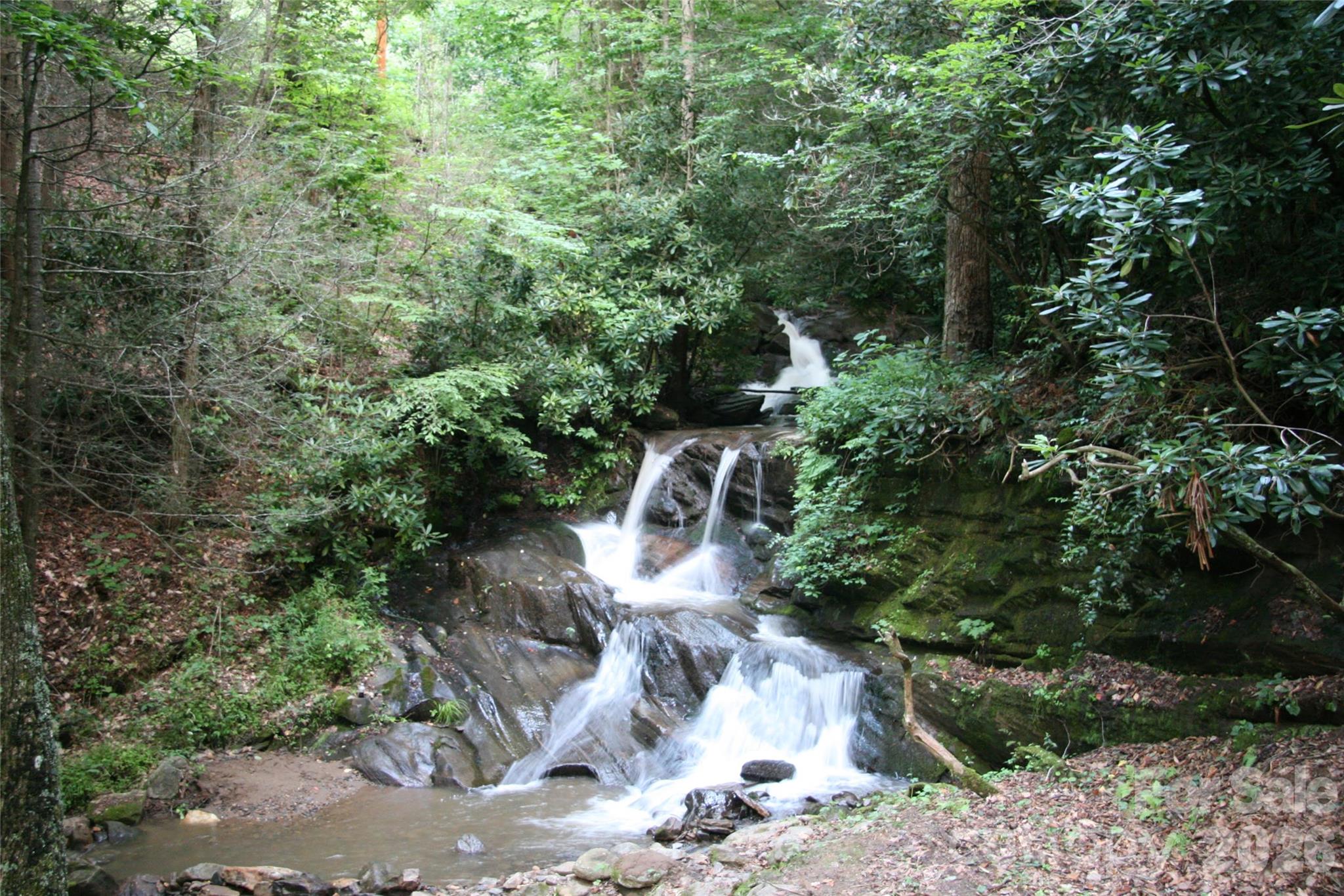1000 Cane Creek Road