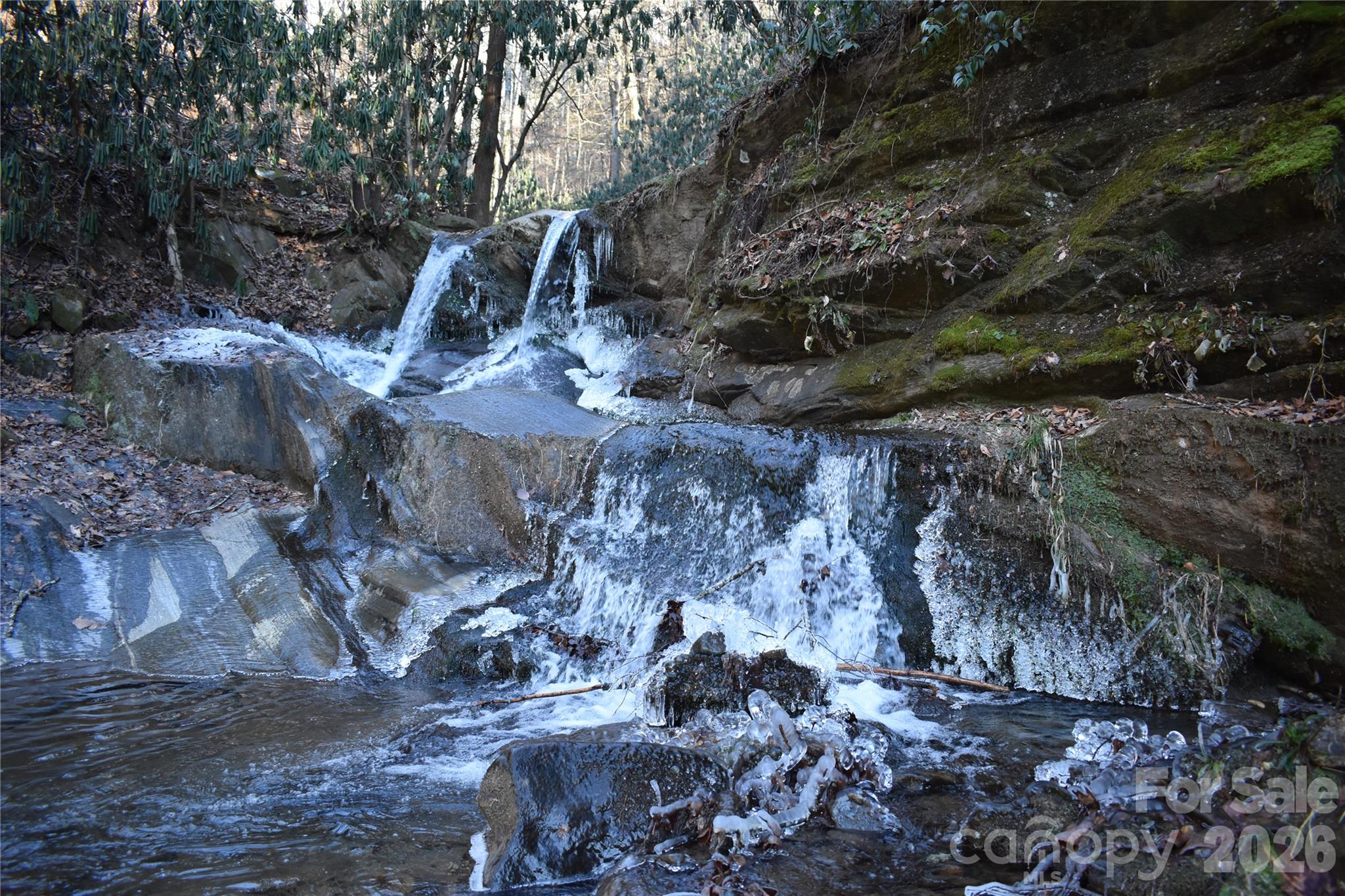 1000 Cane Creek Road