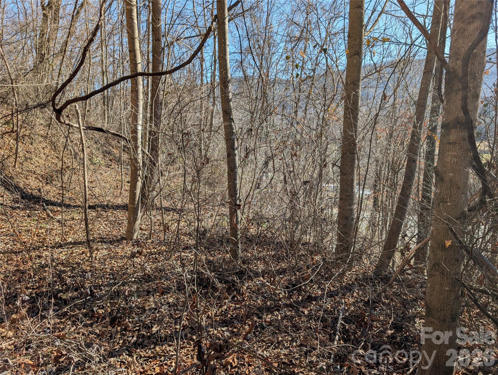 00 Great Smoky Mountain Expy Highway