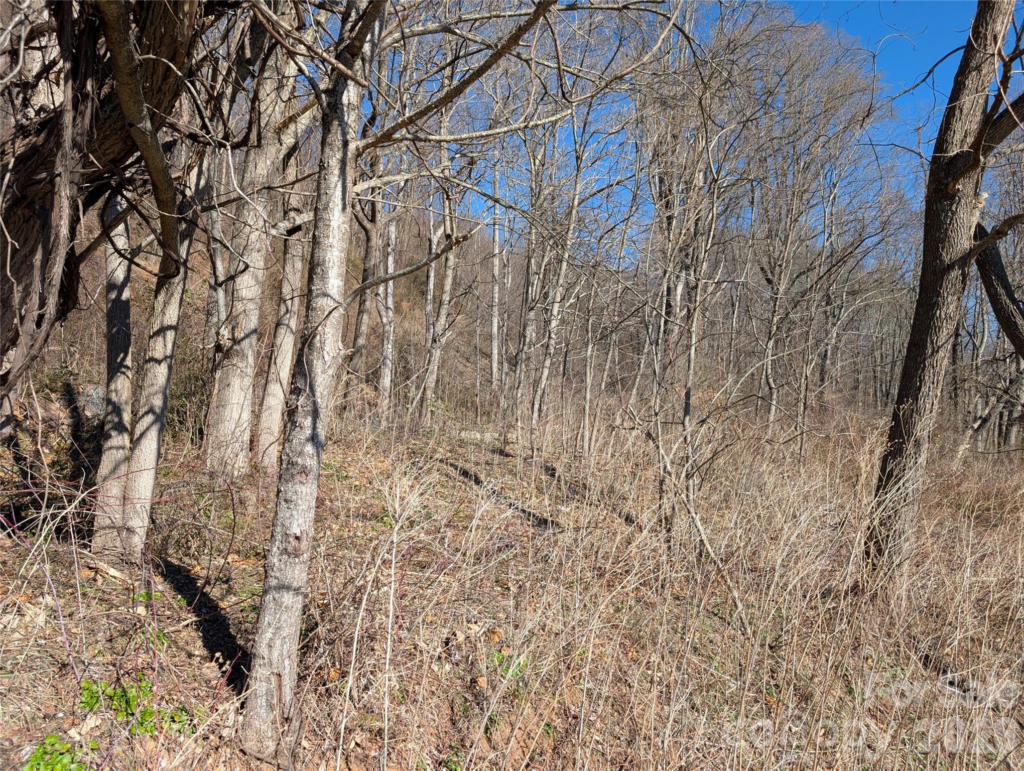 00 Great Smoky Mountain Expy Highway