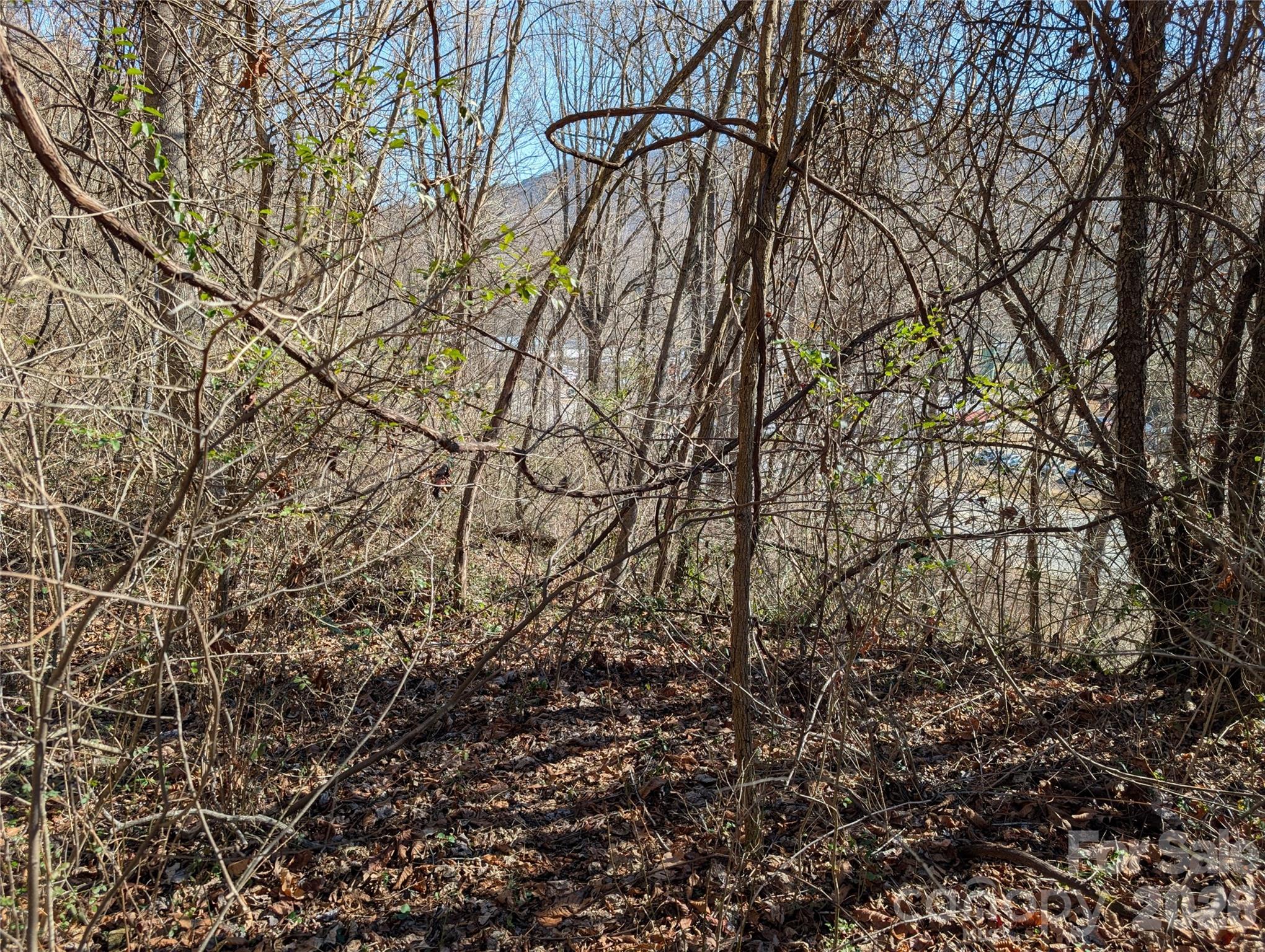 00 Great Smoky Mountain Expy Highway