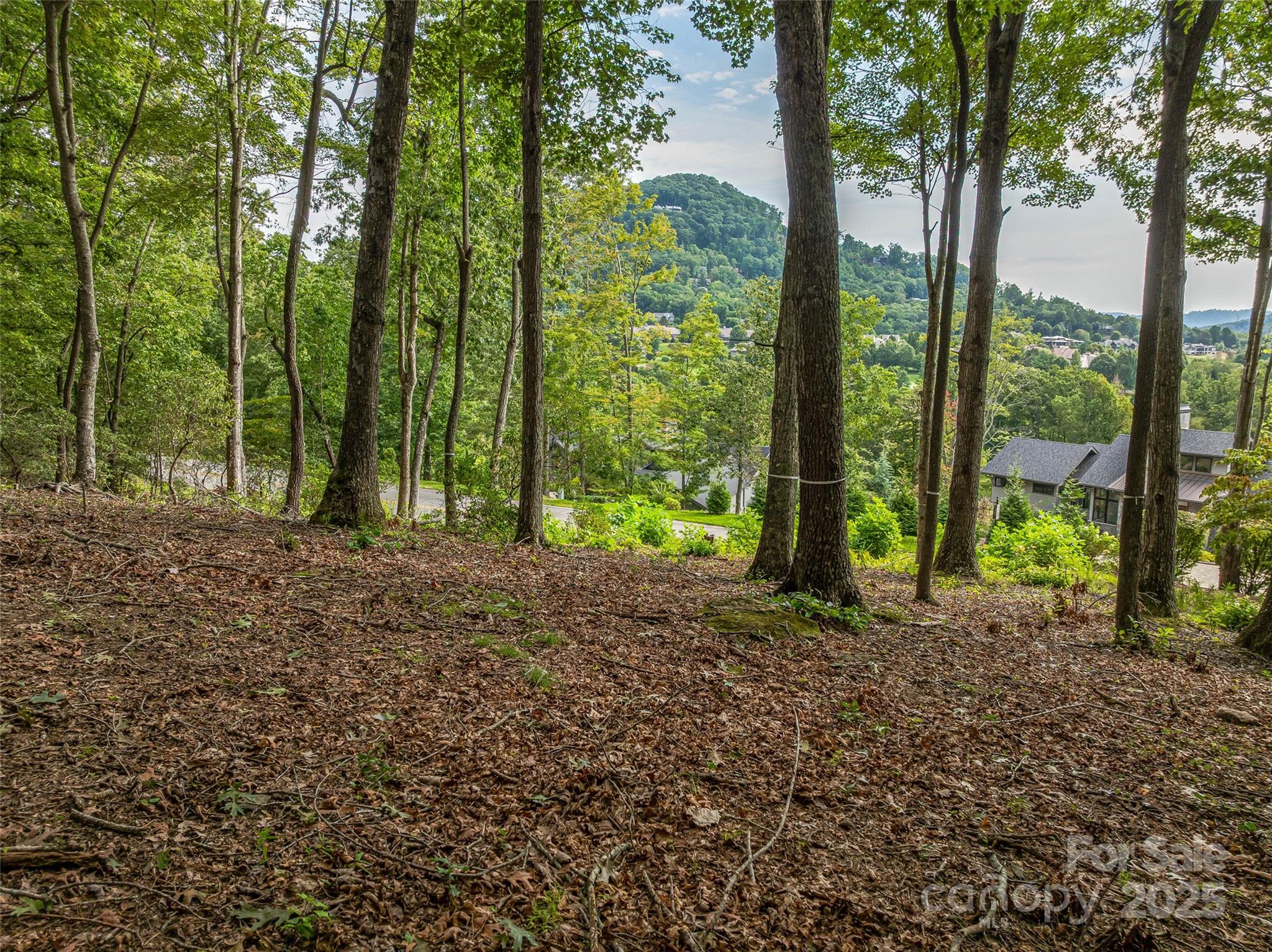 The Cliffs at Walnut Cove - Land