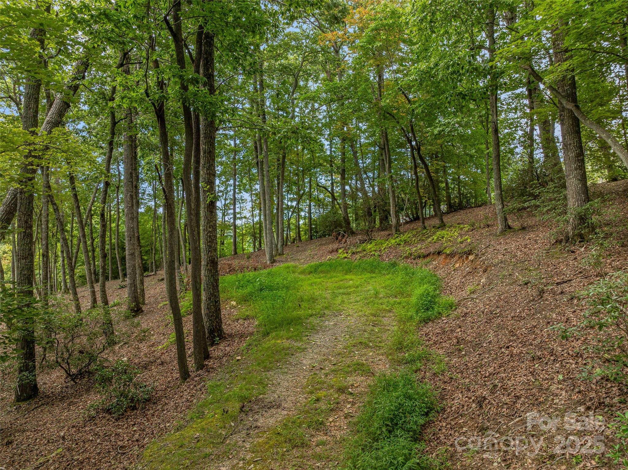 The Cliffs at Walnut Cove - Land