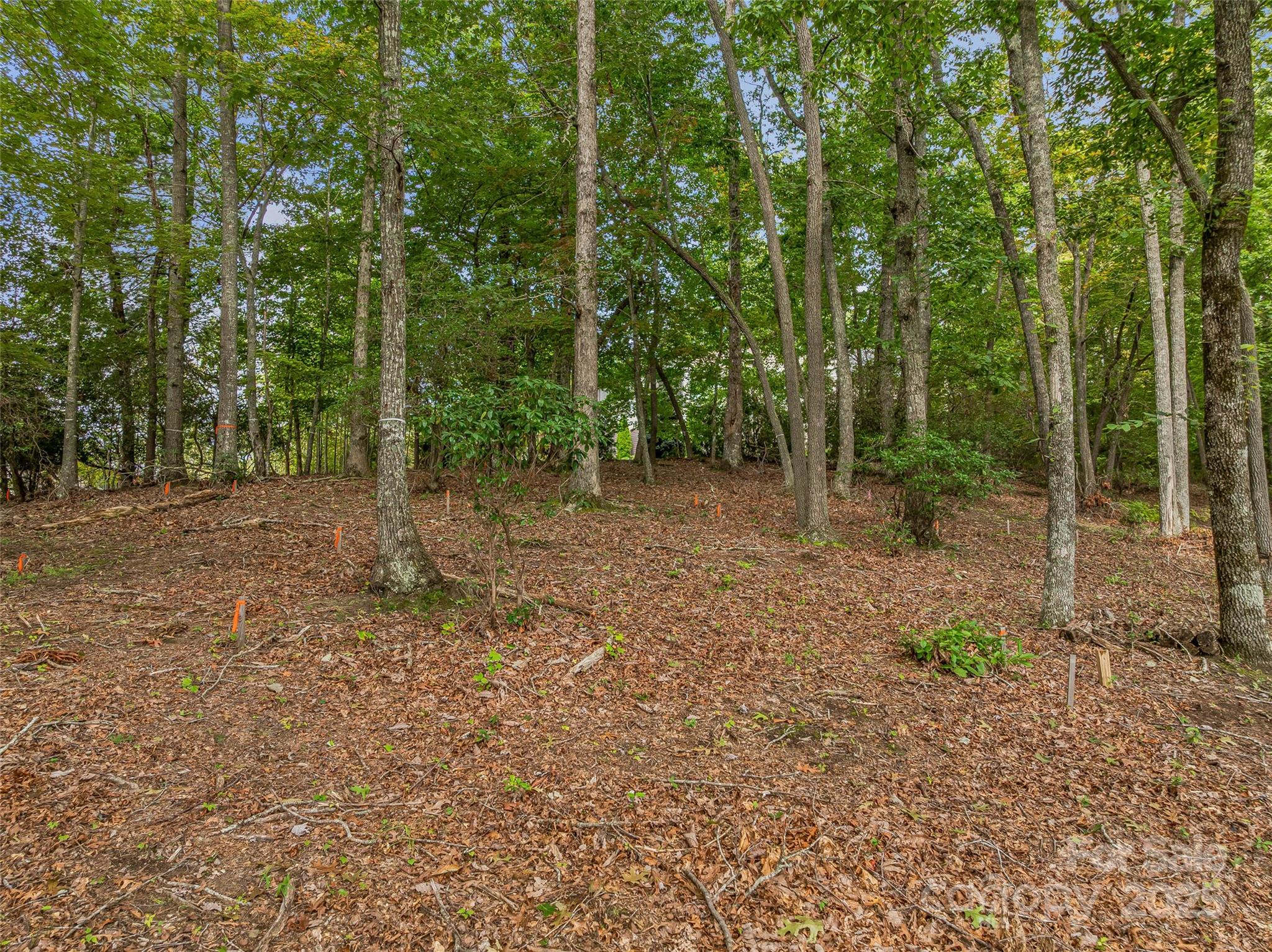 The Cliffs at Walnut Cove - Land