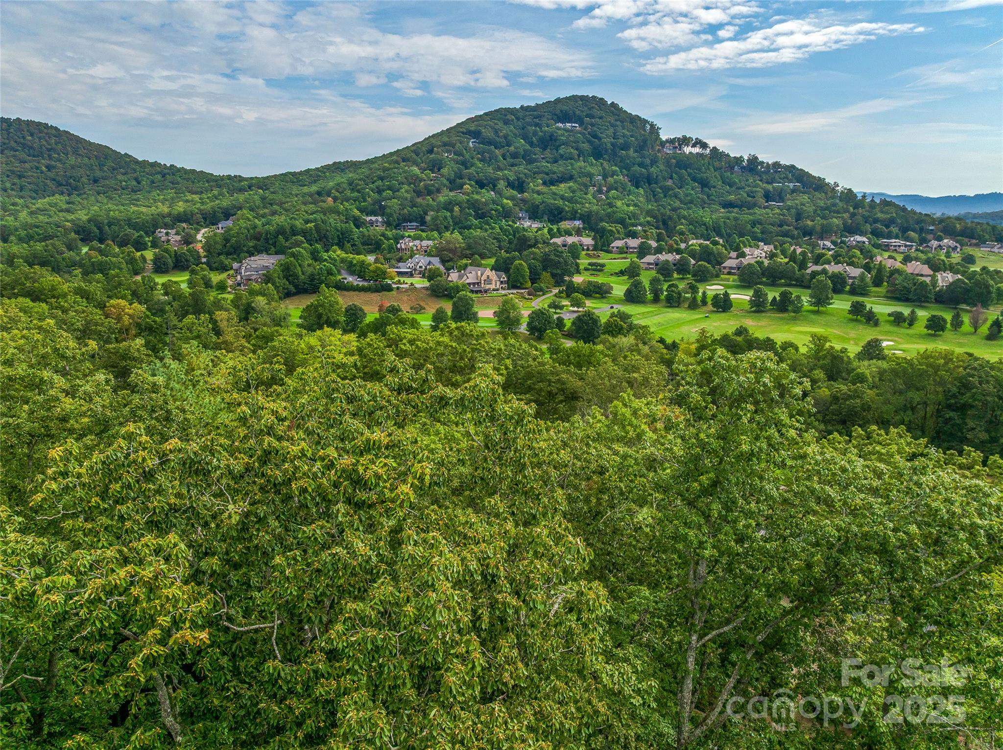 The Cliffs at Walnut Cove - Land