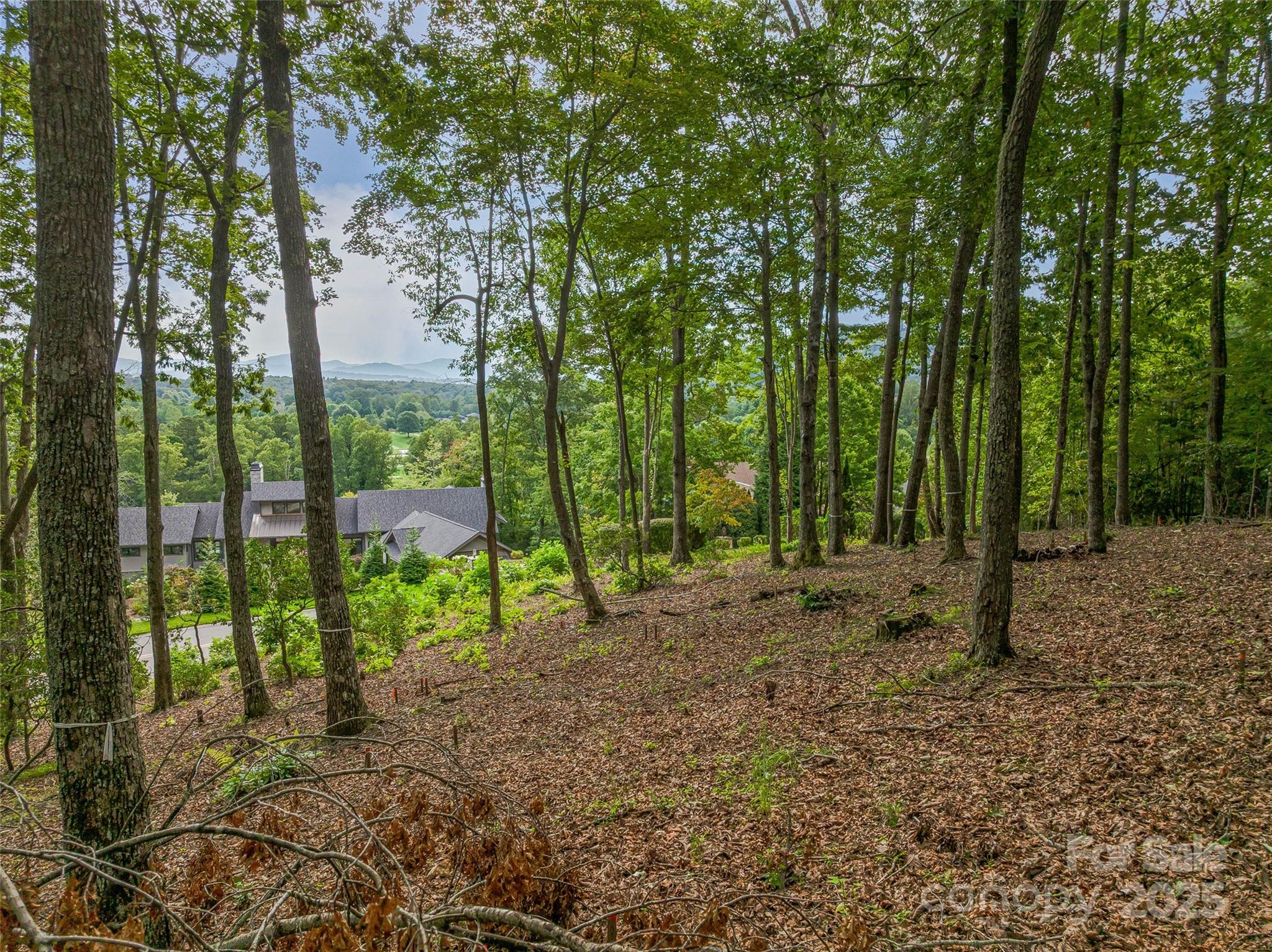 The Cliffs at Walnut Cove - Land