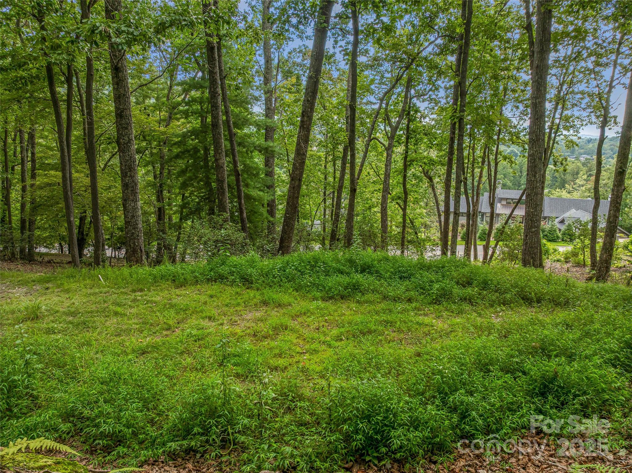 The Cliffs at Walnut Cove - Land