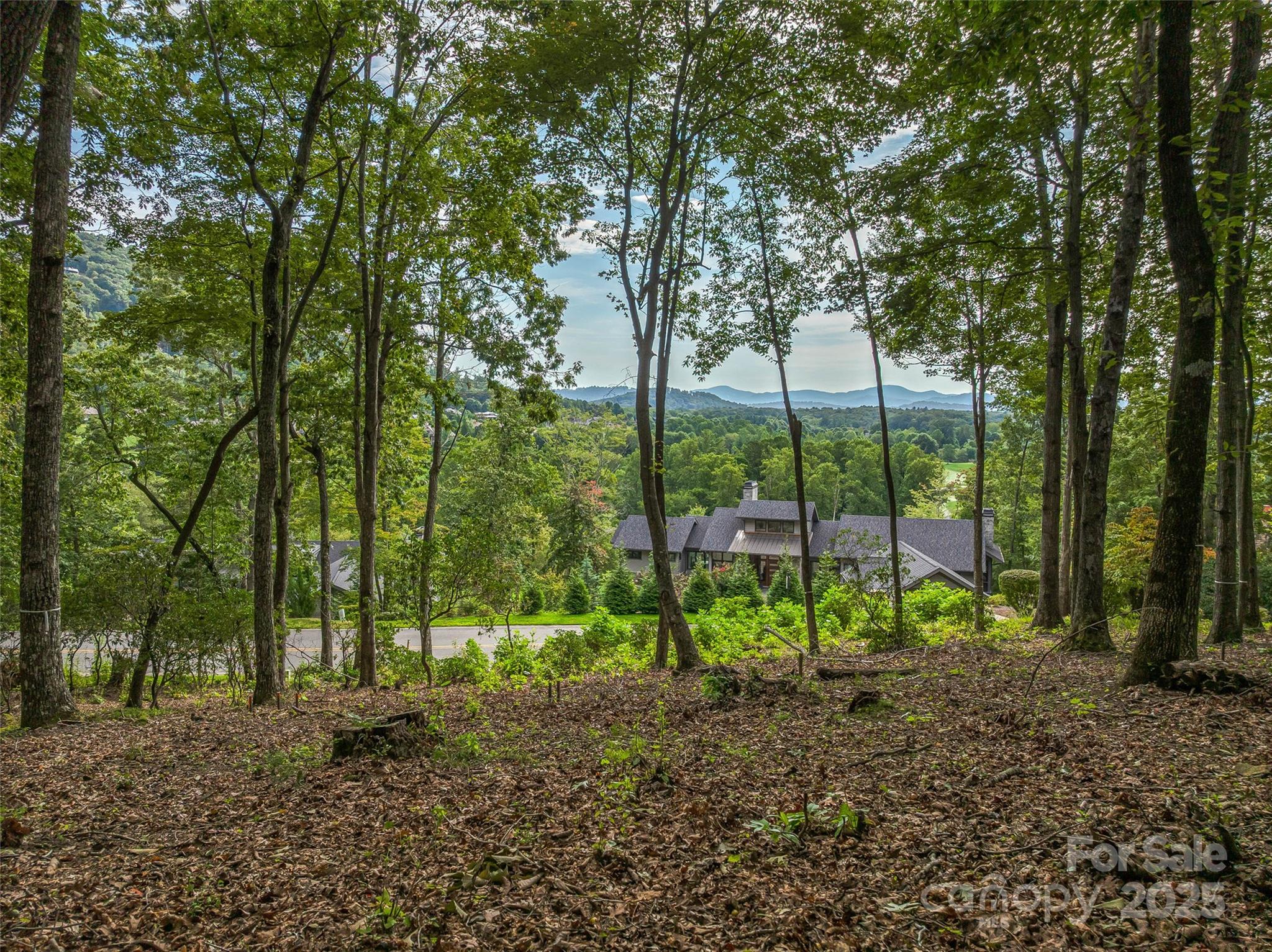 The Cliffs at Walnut Cove - Land