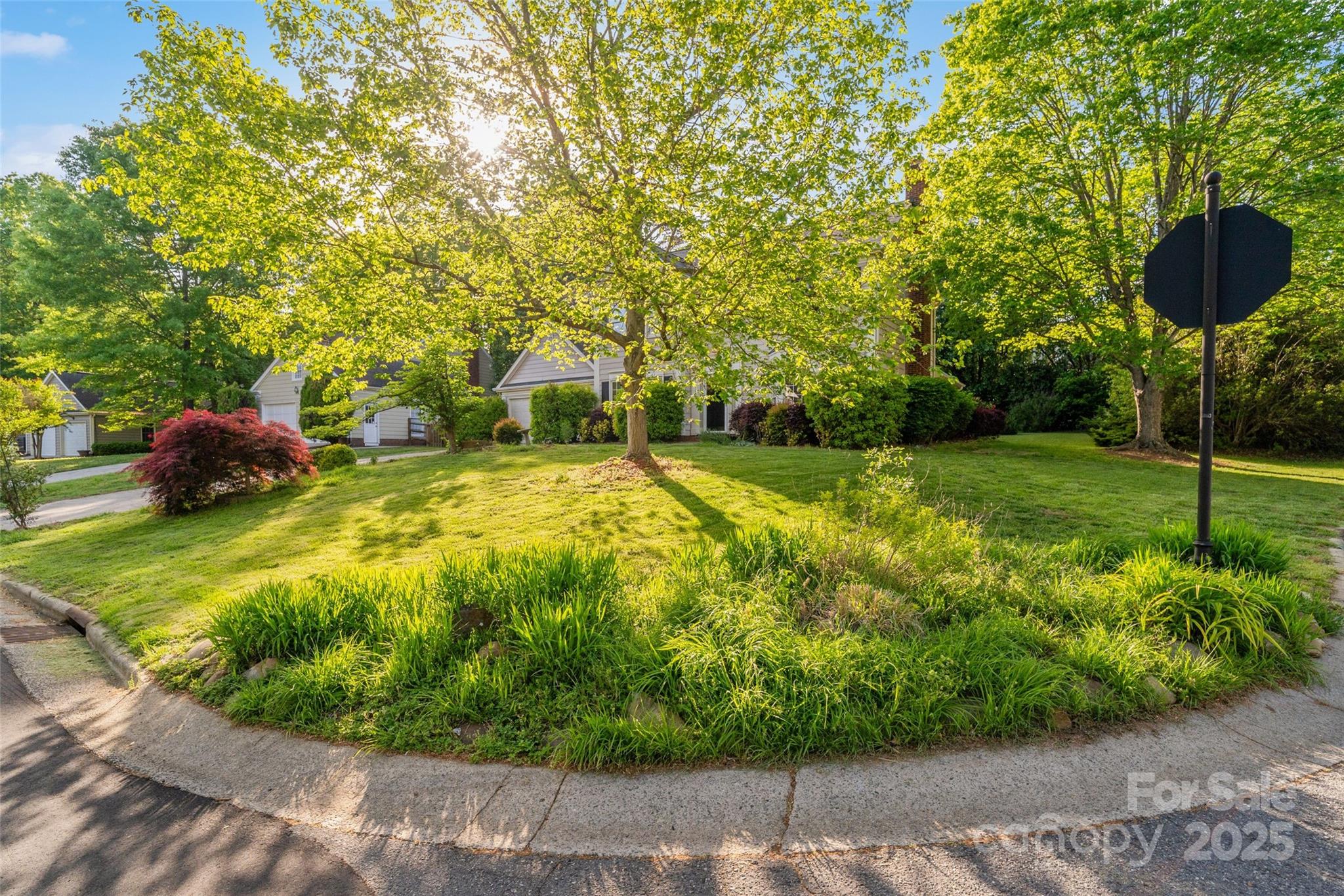 9100 Cameron Wood Drive