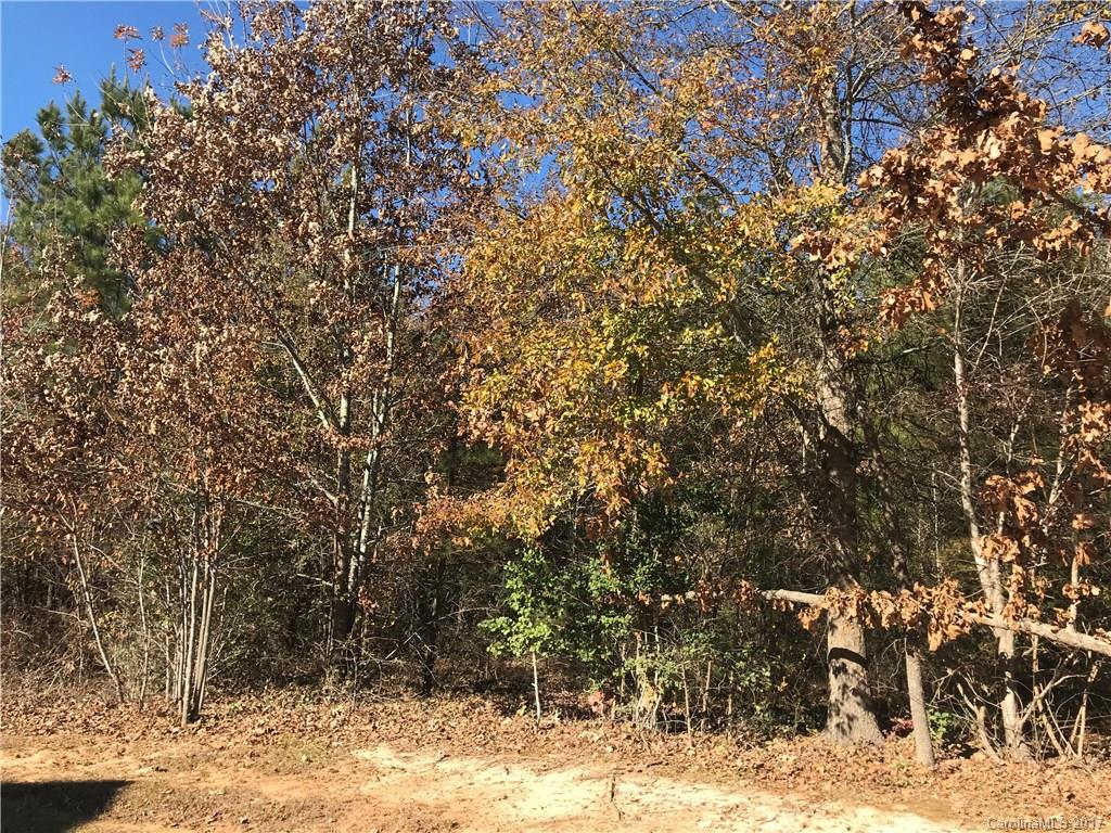 Catawba Shores Estates - Land