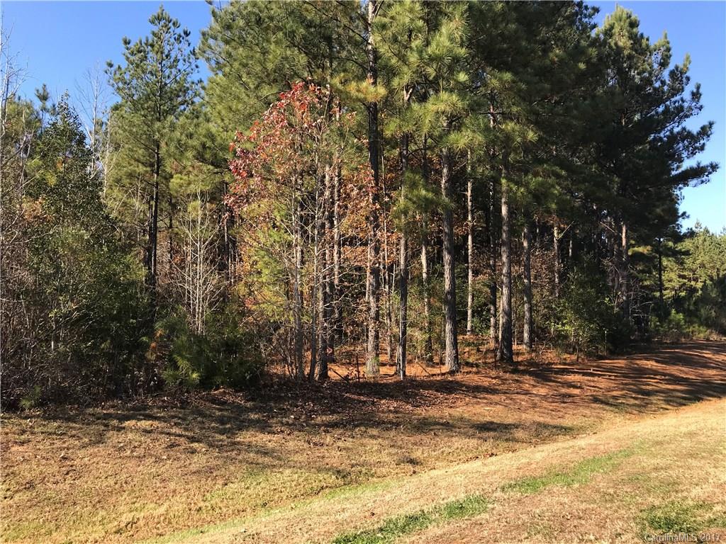 Catawba Shores Estates - Land