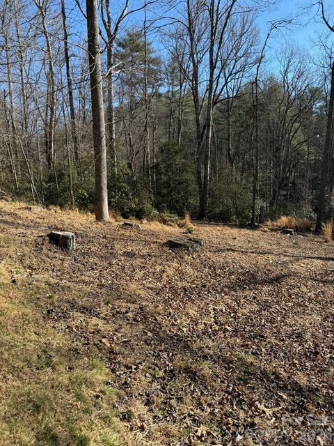 9999 Rockbrook Overlook Brevard NC 28712