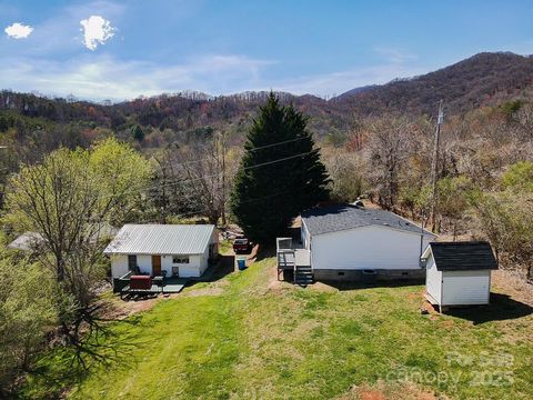 6 & 10 Lands End Drive Candler NC 28715