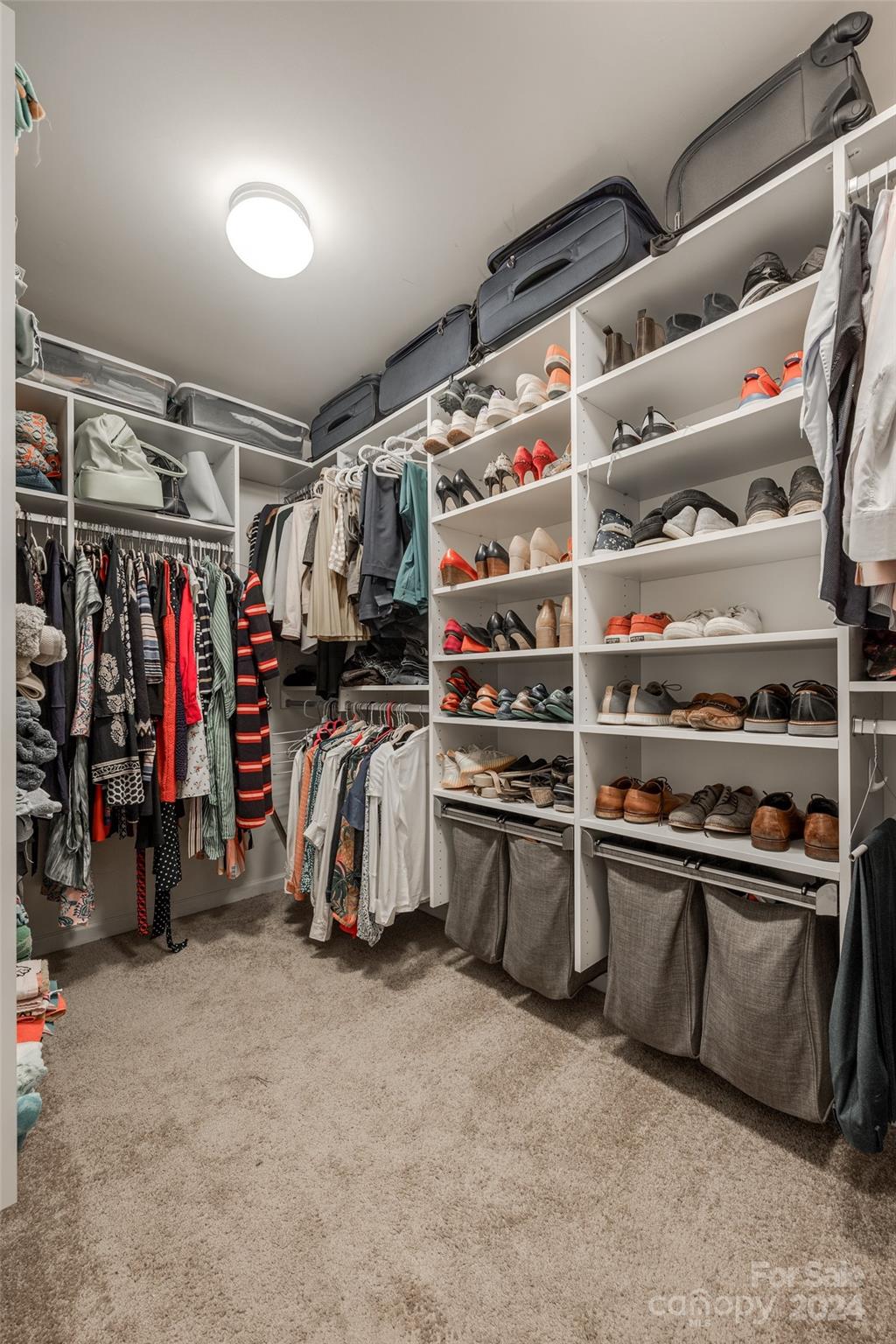 The Retreat at Rayfield - Residential