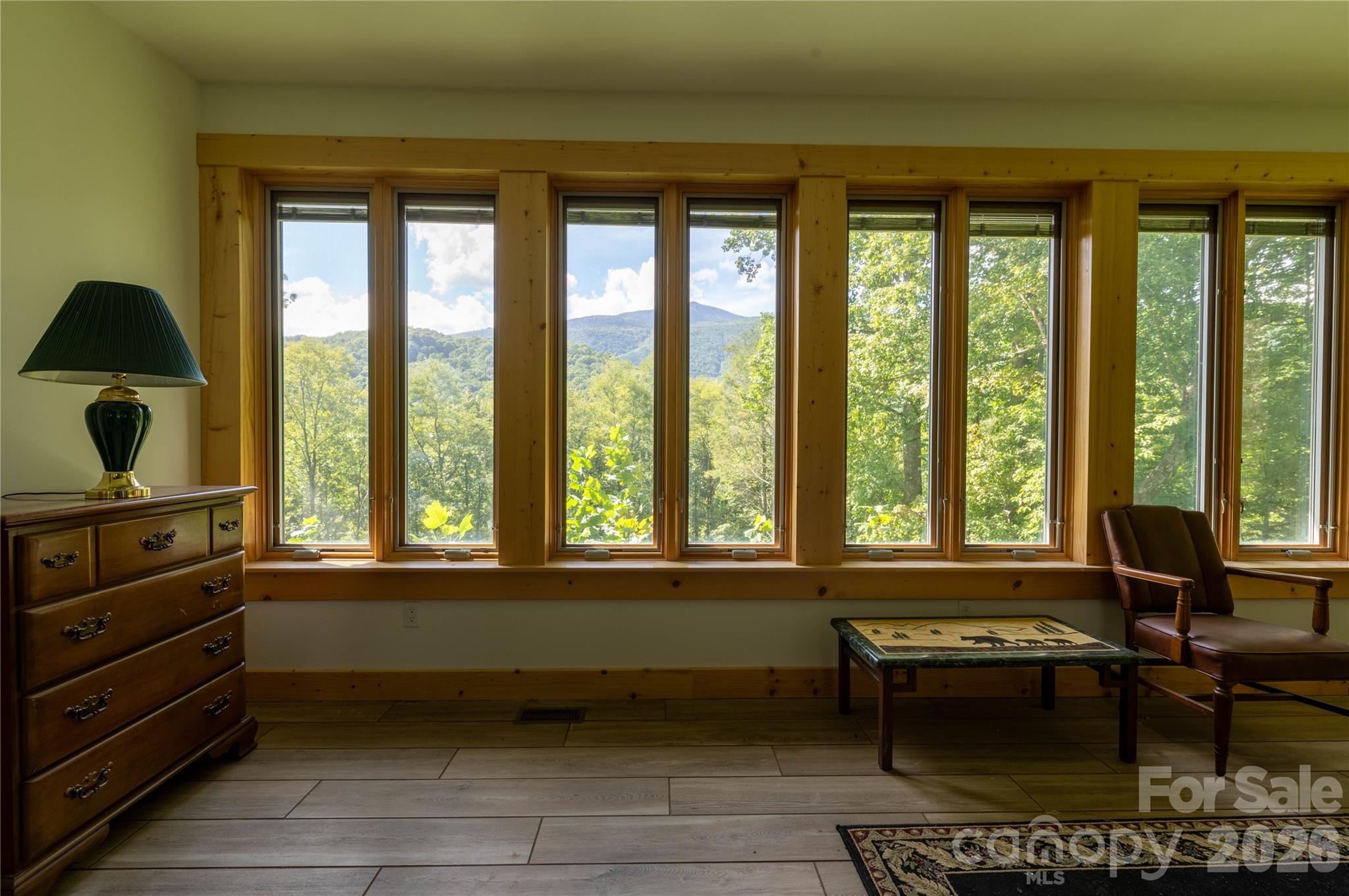 2099 South Toe River Road